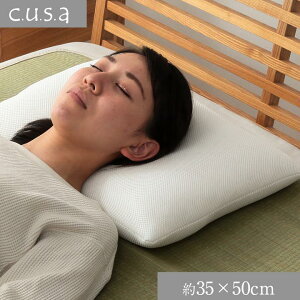  ܂ L R hL u LpCv v 35×50cm R h ʋC ɂ }WJAVXg c.u.s.a