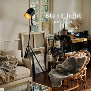 y11%offN[|6ԌI12/1 18:00-23:59z Ɩ Cg  X^hƖ tACg X^hCg LHT-739 yAZMz y[J[/ԕi/LZsz X|bgCg Ɩ