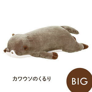 �y�労�Ӎ� �J�Ò����z ������ �ʂ������ �u �v���~�A���˂ނ˂ރA�j�}���Y �����܂���BIG �v�V���N�} �Č� �J���E�\ ��Ԃ͂��� �N�b�V���� �v���[���g �M�t�g �q�� �}�^�j�e�B ������ ��