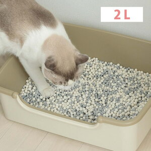 y~xxN[|zzz ]y L ulIvXTh v~Av Neo Plus Sand Premium  L EL R EtakRhECX VXegC  nX^[  tFbg 