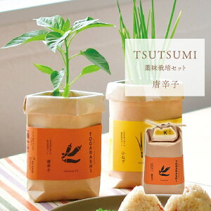 yȃN[|zzz͔|Lbg  TSUTSUMI  hq Ot ˂ đ ~j v[g Mtg ͔|Zbg {   ₳ Lbg yZbg ƒ؉ K[fjO 