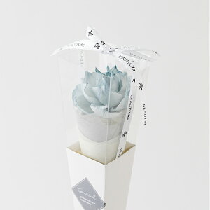 【冬支度応援★クーポン配布中】 フラワー ギフト 花 「 ソラフラワー シングルステム 一輪タイプ 」 母の日 サンクスギフト プレゼント 贈り物 誕生日 記念日 結婚式 プチギフト アレンジ