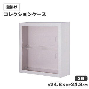 y~xxN[|zzz RNVP[X t Ǌ| Ǌ|RNVP[X [ I L[u{bNX ^ uRNVP[X kakev24.8×24.8×8cm tBMA f