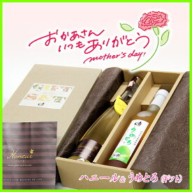 奥の松　ハニール＆うめとろ 2本入りギフトセット 500ml 2本入 ミード 蜂蜜酒 はちみつ ハチミツ 低アルコール 福島 ギフト 贈り物 プレゼント 母の日 結婚祝い ハニーワイン HoneyWine 女性に人気 オシャレ 誕生日 成人祝い お花見