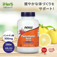 【15%OFFクーポン★4/14 20:00~4/20 23:59】NOW Foods パントテン酸 【 iHerb アイハーブ 公式 】 ナウフ…
