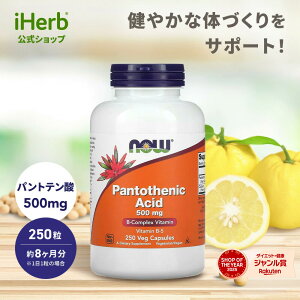 NOW Foods �p���g�e���_ �y iHerb �A�C�n�[�u ���� �z �i�E�t�[�Y �r�^�~��B5 �r�^�~��B�Q �T�v�������g �T�v�� �r�^�~�� B5 �J���V�E�� �r�^�~���T�v�� �A���� �A�����J�v�Z�� �x�W�J�v�Z�� 500mg 25