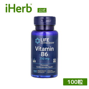 �y15%OFF�N�[�|����5/23 20:00~5/27 01:59�zLife Extension �r�^�~��B6 �y iHerb �A�C�n�[�u ���� �z ���C�t�G�N�X�e���V���� �r�^�~��B�Q �r�^�~��B �r�^�~�� B6 �r�^�~���T�v�� �T�v�� �T�v�������g �x�W�J