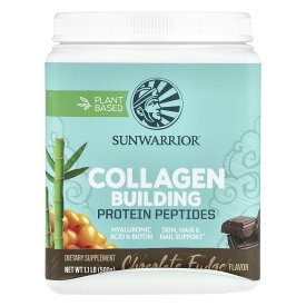 Sunwarrior コラーゲン ビルディング プロテイン ペプチド 【 iHerb アイハーブ 公式 】 サンウォーリアー 植物性 タンパク質 ヒアルロン酸 ビオチン ミネラル サプリ チョコファッジ味 パウダー 粉末 500g