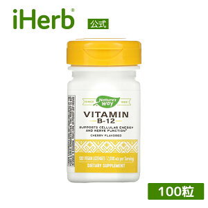 �y15%OFF�N�[�|����5/23 20:00~5/27 01:59�zNature's Way �r�^�~��B-12 �y iHerb �A�C�n�[�u ���� �z �l�C�`���[�Y�E�F�C �r�^�~�� �r�^�~��B �r�^�~��B12 �r�^�~��B�Q �V�A�m�R�o���~�� �T�v�������g �T�v��