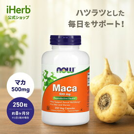 【POINT20倍★11/18 0:00〜11/27 1:59】NOW Foods マカ 【 iHerb アイハーブ 公式 】 ナウフーズ マカ根 マカルート レピジウムメイエニ サプリメント サプリ 植物由来 ハーブ 植物性カプセル ベジカプセル 500mg 250粒