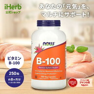 【7,000円以上購入で20%OFFクーポン★9/4 20:00~9/11 01:59】NOW Foods ビタミンB-100 【 iHerb アイハー…