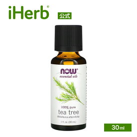 【POINT20倍★11/4 20:00〜11/11 1:59】NOW Foods ティーツリー エッセンシャルオイル 【 iHerb アイハーブ 公式 】 ナウフーズ ティーツリーオイル 精油 純正 100% ピュア 植物性 アロマオイル ティートゥリー 30ml