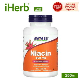 【POINT20倍★12/04 20:00〜12/11 1:59】NOW Foods ナイアシン 【 iHerb アイハーブ 公式 】 ナウフーズ ビタミンB3 ビタミンB群 ビタミンB サプリメント サプリ ビタミン ビタミンサプリ B3 植物性 タブレット 500mg 250粒