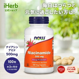 【POINT20倍★12/04 20:00〜12/11 1:59】NOW Foods ナイアシンアミド 【 iHerb アイハーブ 公式 】 ナウフーズ ナイアシン ビタミンB3 ビタミンB群 ビタミン ビタミンサプリ サプリメント サプリ 植物性 植物性カプセル ベジカプセル 500mg 100粒