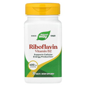 �y15%OFF�N�[�|����5/23 20:00~5/27 01:59�zNature's Way ���{�t���r�� �r�^�~��B2 �y iHerb �A�C�n�[�u ���� �z �l�C�`���[�Y�E�F�C �r�^�~�� �r�^�~���� �r�^�~��B B2 �r�^�~���T�v�� �T�v�������g �T�v��
