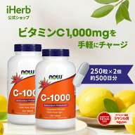 NOW Foods ビタミンC-1000 2個セット 【 iHerb アイハーブ 公式 】 ナウフーズ ビタミンC サプリメント …