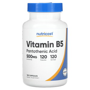 Nutricost �r�^�~��B5 �y iHerb �A�C�n�[�u ���� �z �j���[�g���R�X�g �r�^�~��B �r�^�~�� B5 B �r�^�~��B�Q �r�^�~���� �r�^�~���T�v�� �p���g�e���_ �T�v�������g �T�v�� �J�v�Z�� 500mg 120��