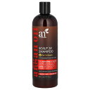 【20%OFFクーポン★3/4 20:00~3/11 01:59】artnaturals スカルプ 18 シャンプー 【 iHerb アイハーブ 公式 】 アートナチュラルズ ヘアシャンプー コールタール フォーミュラ アルガン アロエベラ ティーツリー 473ml