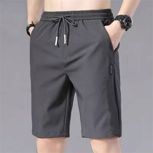 Stpc Y  傫TCY  z ʋC XbNX rWlXpc Y V[gpc n[tpc `mp e[p[h ʋ d am j Y{ StEFA