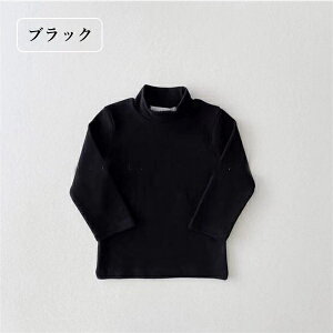 T xr[ q LbY Ci[   TVc nClbNVc Ci[Vc y{A  q Ԃ V z ۉ  ^[glbN LbYp ̎q j