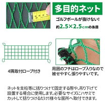 楽天市場】防球ネット 5m×10mの通販