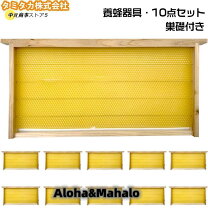 楽天市場】巣 礎の通販