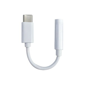 yŐViPhone/iPadΉzDAC X}zp Type-C3.5mmXeI~jvOڑI[fBIϊA_v^ Cz}CNΉ Android eca310039 USB-C ^CvC AEgbg 䂤pPbg 