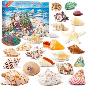 �y2025�N/�V�R�L�k24�z�{���̊L�k �A�h�x���g�J�����_�[ �V�F���R���N�V���� �N���X�}�X �c���[ ���� �i�`������ �C���e���A�y�C�O�ʔ́z