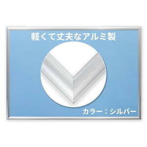 ro[ { 񂽂t A~pYt[ 38×53cm(pl5-B) Vo[ ǂЂt/UVJbgdl/Hsv/yʐ݌v tbVpl WO\[pYt[@z FF054S