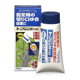 住友化学園芸 殺菌剤 トップジンMペースト 100g 癒合剤 切り口保護 剪定