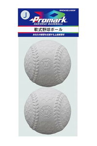 TNCf (SAKURAI) v}[N  K J(wp) 2 LB-300J