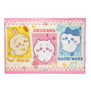 ATqm  W[V[g S 60×90cm 1lp CK24-LSS01