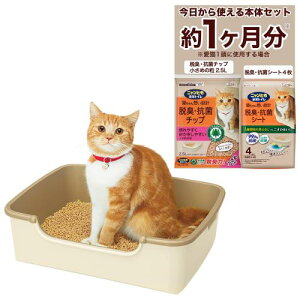 jƂgC L gC {̃Zbg [1 LEV[gt] 炭ƃVv^Cv ȃXy[X  ȒP Cgx[W Lp VXegC LgC qL