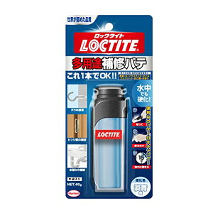 LOCTITE(ロックタイト) 多用途補修パテ - 補修・充填・接着用エポキシパテ、成形可能接着剤 - 1x48g DHP-481
