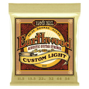 ���K�i ERNIE BALL 2007 �A�R�[�X�e�B�b�N�M�^�[��(11.5-54) EARTHWOOD 80/20 BRONZE CUSTOM LIGHT �J�X�^�����C�g