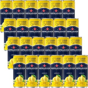 SANPELLEGRINO(TyOm) C^A Xp[NOhN i[^ () 330ml ×24{ Y_ (ʏ`16% C^AYʏ` Y_)