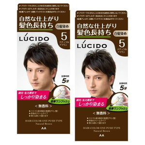 LUCIDO(V[h) ܂ƂߔvbVPAJ[(򕔊Oi) Yp V[gwA4   i`uE Zbg 2 (x 1)