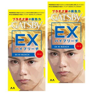 GATSBY(Mcr[) EXnCu[` (򕔊Oi) wAJ[ 2 (x 1)