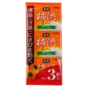 `aΌ 100g×3 `aGLX JL^jEێܔz