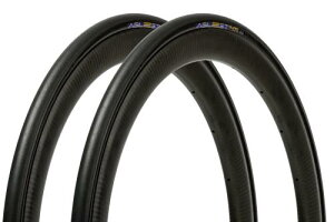 pi[T[(Panaracer) AWXg DURO 2{Zbg 700×25C N`[  F725-AGD-B-2P