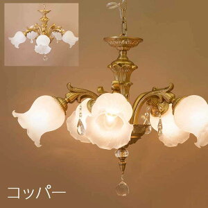 VfA led y_gCg V[OCg AeB[NƖ AeB[NVfA ledƖ k ~bhZ`[ LEDdΉ Pn zCg AeB[N VƖ