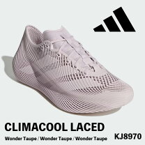 楽天市場】climacool シューズ（靴サイズ（cm）22.5）の通販