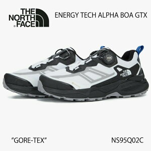 m[XtFCX Xj[J[ THE NORTH FACE ENERGY TECH ALPHA BOA GTX BLUE u[ GORE-TEX NS95Q02C