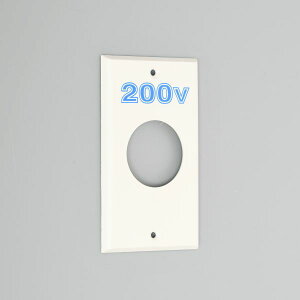 `AJd@ y1321N-200zF RZgpv[g n`p {Xa40.5p Gv(iC) 1p{bNXp 41.5×1 200V\()