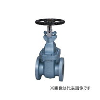 楽天市場】東洋バルブ ゲートバルブ 50aの通販