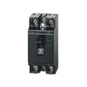 pi\jbN dՁyBS1113zSu[JHB^ id30A iՒfe1.5kA 30AF 2P1E 100VkFEl