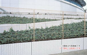 u.lށyEMF1F-1520WHzzCg X`[bVtFX EMF1F^ { 1,500×1,983.6mm xʔ