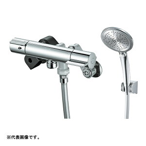 Oh/SANEI ySK18CT5K-NzT[V[ npkFAl