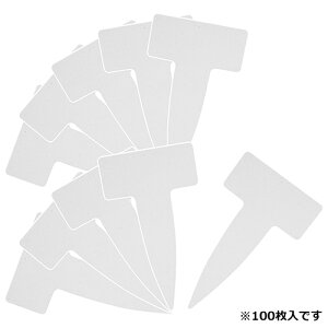 ͓Y yZteB[3 |px T^100 _Cz|px T^ 100 (4977292639514)