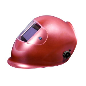 ̓X^[d퐻/SUZUKID yEB-300APztՌnږ AC{[O(sN) (4991945026698)